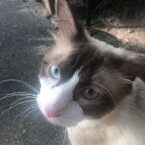 Meet your Posher, Leslye